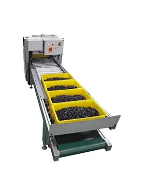 Automated conveyor system