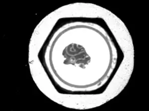 CCD2, vertical bottom view